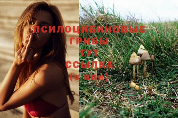 герыч Коряжма
