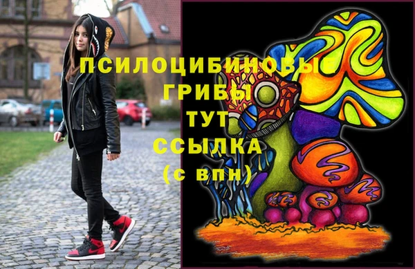 герыч Коряжма
