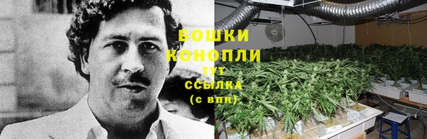 первитин Костерёво