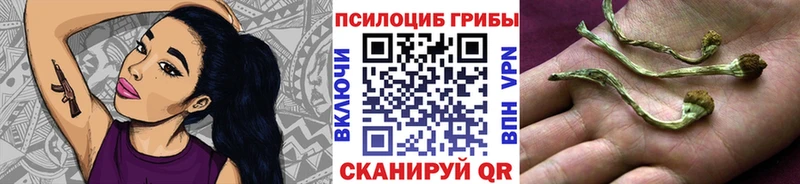 Псилоцибиновые грибы ЛСД  Купить где  Тюмень 